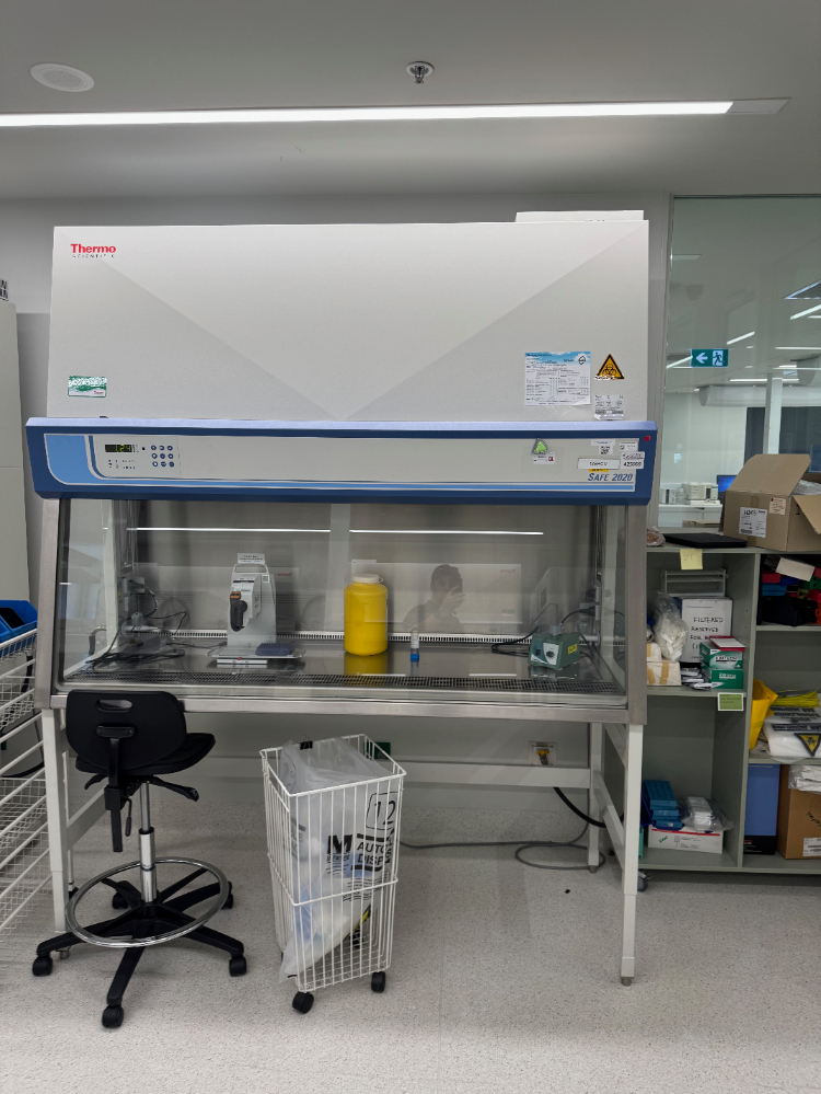 Image of Thermo Safe 2020 6' BioSafety Cabinet